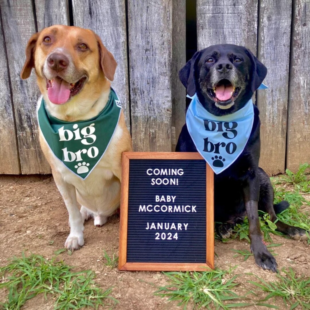 Baby Announcement Big Sister Dog Bandana Large Bandana Big Bro